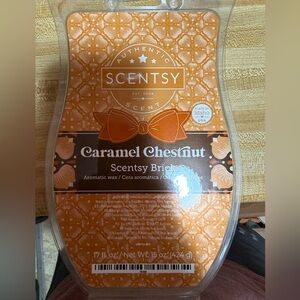 Scentsy Brick